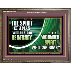 A WOUNDED SPIRIT WHO CAN BEAR?  Sciptural Décor  GWMARVEL9972  "36X31"