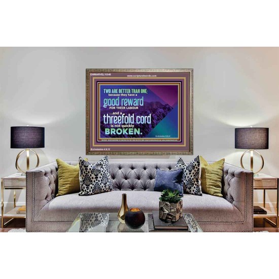 TWO ARE BETTER THAN ONE  Contemporary Christian Wall Art Wooden Frame  GWMARVEL10548  