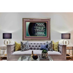 GO OUT WITH CELEBRATION AND BACK IN PEACE  Unique Bible Verse Wooden Frame  GWMARVEL10618B  "36X31"