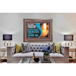 WITH GREAT MERCIES WILL I GATHER THEE  Encouraging Bible Verse Wooden Frame  GWMARVEL12714  