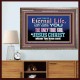 CHRIST JESUS THE ONLY WAY TO ETERNAL LIFE  Sanctuary Wall Wooden Frame  GWMARVEL10397  