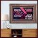 THE MEEK ALSO SHALL INCREASE THEIR JOY IN THE LORD  Scriptural Décor Wooden Frame  GWMARVEL10735  