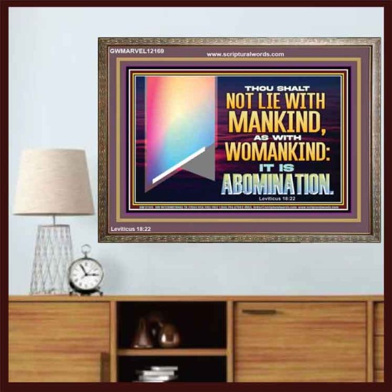 THOU SHALT NOT LIE WITH MANKIND AS WITH WOMANKIND IT IS ABOMINATION  Bible Verse for Home Wooden Frame  GWMARVEL12169  