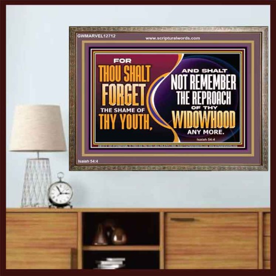 THOU SHALT FORGET THE SHAME OF THY YOUTH  Encouraging Bible Verse Wooden Frame  GWMARVEL12712  