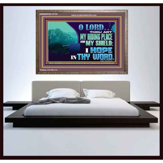 THOU ART MY HIDING PLACE AND SHIELD  Large Custom Wooden Frame   GWMARVEL12159  