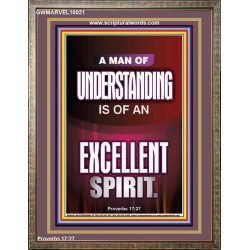 A MAN OF UNDERSTANDING IS OF AN EXCELLENT SPIRIT  Righteous Living Christian Portrait  GWMARVEL10021  
