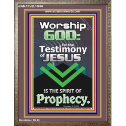TESTIMONY OF JESUS IS THE SPIRIT OF PROPHECY  Kitchen Wall Décor  GWMARVEL10046  "31X36"