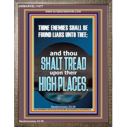 THINE ENEMIES SHALL BE FOUND LIARS UNTO THEE  Printable Bible Verses to Portrait  GWMARVEL11877  "31X36"