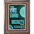 THE VOICE OF THE LORD BREAKETH THE CEDARS  Scriptural Décor Portrait  GWMARVEL11979  "31X36"