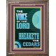 THE VOICE OF THE LORD BREAKETH THE CEDARS  Scriptural Décor Portrait  GWMARVEL11979  