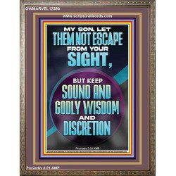 KEEP SOUND AND GODLY WISDOM AND DISCRETION  Bible Verse for Home Portrait  GWMARVEL12390  "31X36"