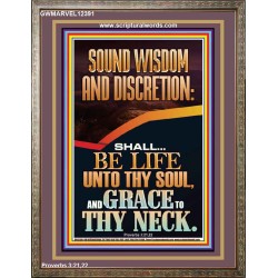 SOUND WISDOM AND DISCRETION SHALL BE LIFE UNTO THY SOUL  Bible Verse for Home Portrait  GWMARVEL12391  "31X36"