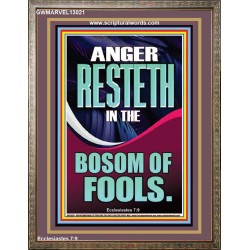 ANGER RESTETH IN THE BOSOM OF FOOLS  Encouraging Bible Verse Portrait  GWMARVEL13021  