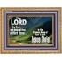 THE LORD WILL UNDO ALL THY AFFLICTIONS  Custom Wall Scriptural Art  GWMS10301  "34x28"