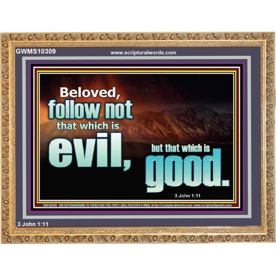 FOLLOW NOT WHICH IS EVIL  Custom Christian Artwork Wooden Frame  GWMS10309  