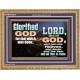 GLORIFIED GOD FOR WHAT HE HAS DONE  Unique Bible Verse Wooden Frame  GWMS10318  