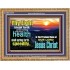 THY HEALTH WILL SPRING FORTH SPEEDILY  Custom Inspiration Scriptural Art Wooden Frame  GWMS10319  "34x28"