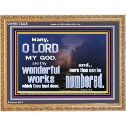 THY WONDERS O LORD CANNOT BE NUMBERED  Unique Bible Verse Wooden Frame  GWMS10323B  