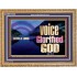 WITH A LOUD VOICE GLORIFIED GOD  Printable Bible Verses to Wooden Frame  GWMS10349  "34x28"