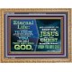 ETERNAL LIFE IS TO KNOW AND DWELL IN HIM CHRIST JESUS  Church Wooden Frame  GWMS10395  