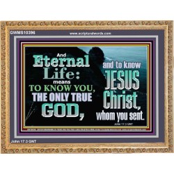 ETERNAL LIFE ONLY THROUGH CHRIST JESUS  Children Room  GWMS10396  "34x28"