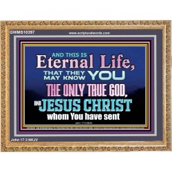 CHRIST JESUS THE ONLY WAY TO ETERNAL LIFE  Sanctuary Wall Wooden Frame  GWMS10397  "34x28"