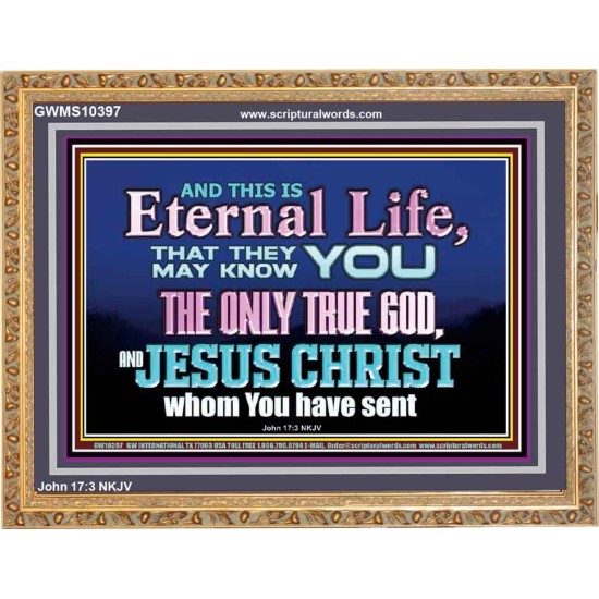 CHRIST JESUS THE ONLY WAY TO ETERNAL LIFE  Sanctuary Wall Wooden Frame  GWMS10397  
