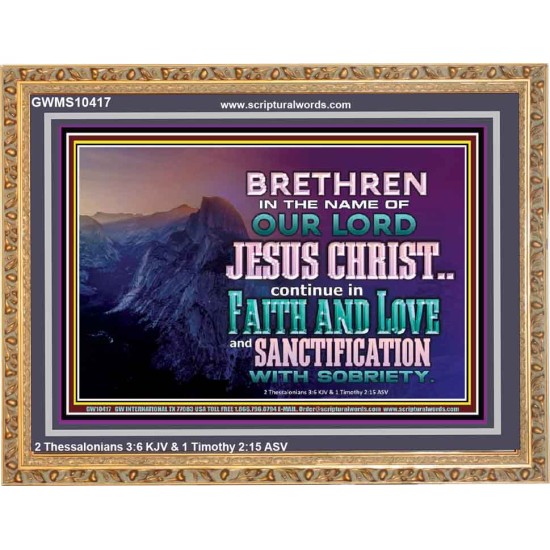 CONTINUE IN FAITH LOVE AND SANCTIFICATION WITH SOBRIETY  Unique Scriptural Wooden Frame  GWMS10417  