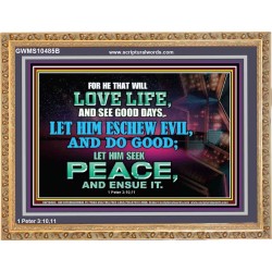 SEEK AND PURSUE PEACE  Biblical Paintings Wooden Frame  GWMS10485B  