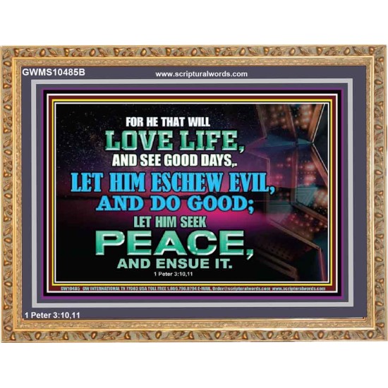 SEEK AND PURSUE PEACE  Biblical Paintings Wooden Frame  GWMS10485B  