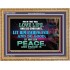 SEEK AND PURSUE PEACE  Biblical Paintings Wooden Frame  GWMS10485B  "34x28"
