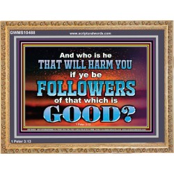 WHO IS IT THAT CAN HARM YOU  Bible Verse Art Prints  GWMS10488  