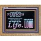 YOU ARE PRECIOUS IN THE SIGHT OF THE LIVING GOD  Modern Christian Wall Décor  GWMS10490  