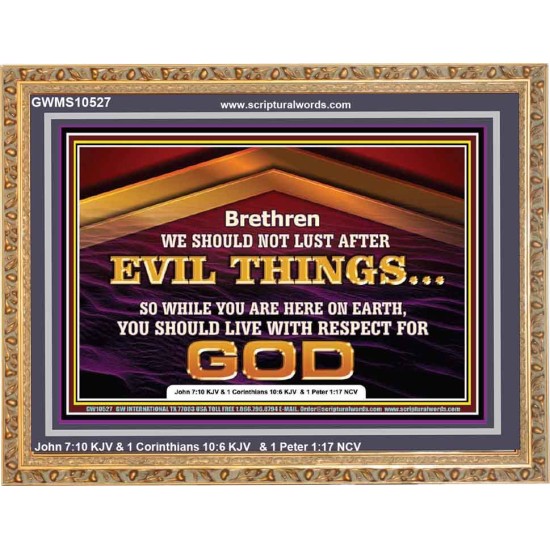 DO NOT LUST AFTER EVIL THINGS  Children Room Wall Wooden Frame  GWMS10527  