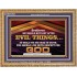 DO NOT LUST AFTER EVIL THINGS  Children Room Wall Wooden Frame  GWMS10527  "34x28"
