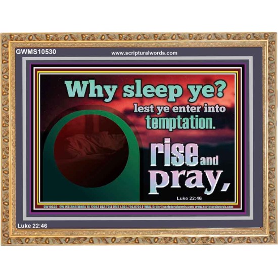 WHY SLEEP YE RISE AND PRAY  Unique Scriptural Wooden Frame  GWMS10530  