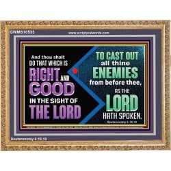 DO THAT WHICH IS RIGHT AND GOOD IN THE SIGHT OF THE LORD  Righteous Living Christian Wooden Frame  GWMS10533  "34x28"