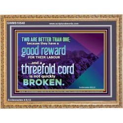 TWO ARE BETTER THAN ONE  Contemporary Christian Wall Art Wooden Frame  GWMS10548  