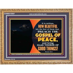 THE FEET OF THOSE WHO PREACH THE GOOD NEWS  Christian Quote Wooden Frame  GWMS10557  "34x28"