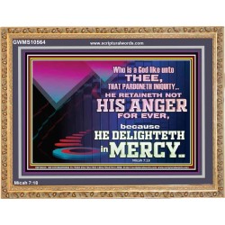THE LORD DELIGHTETH IN MERCY  Contemporary Christian Wall Art Wooden Frame  GWMS10564  "34x28"