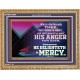 THE LORD DELIGHTETH IN MERCY  Contemporary Christian Wall Art Wooden Frame  GWMS10564  