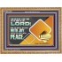 GO OUT WITH JOY AND BE LED FORTH WITH PEACE  Custom Inspiration Bible Verse Wooden Frame  GWMS10617  "34x28"