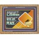 GO OUT WITH JOY AND BE LED FORTH WITH PEACE  Custom Inspiration Bible Verse Wooden Frame  GWMS10617  