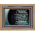 GO OUT WITH CELEBRATION AND BACK IN PEACE  Unique Bible Verse Wooden Frame  GWMS10618B  "34x28"