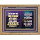 THE ARMOUR OF LIGHT OUR LORD JESUS CHRIST  Ultimate Inspirational Wall Art Wooden Frame  GWMS10689  