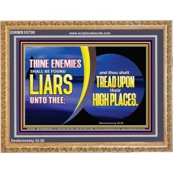YOUR ENEMIES SHALL SUBMIT THEMSELVES TO YOU  Sanctuary Wall Wooden Frame  GWMS10700  