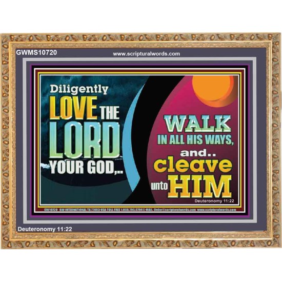 DILIGENTLY LOVE THE LORD WALK IN ALL HIS WAYS  Unique Scriptural Wooden Frame  GWMS10720  