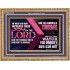 THE MEEK ALSO SHALL INCREASE THEIR JOY IN THE LORD  Scriptural Décor Wooden Frame  GWMS10735  "34x28"