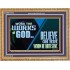 WORK THE WORKS OF GOD BELIEVE ON HIM WHOM HE HATH SENT  Scriptural Verse Wooden Frame   GWMS10742  "34x28"