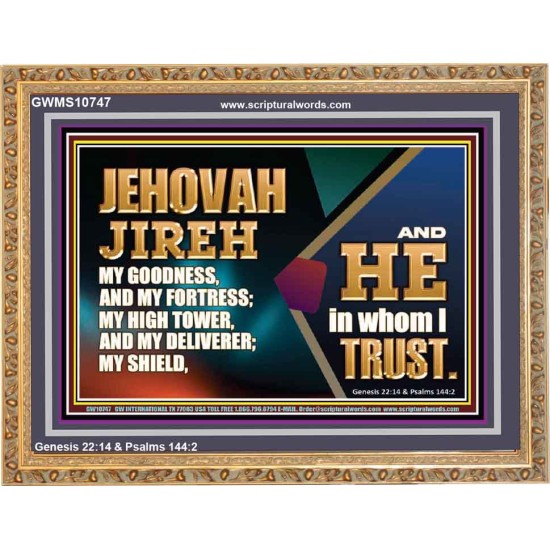 JEHOVAH JIREH OUR GOODNESS FORTRESS HIGH TOWER DELIVERER AND SHIELD  Scriptural Wooden Frame Signs  GWMS10747  